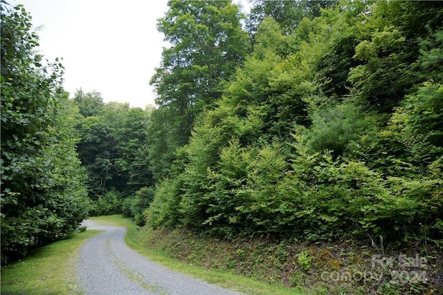 00 Little Pond Pass Lot # 33, Mars Hill, NC 28754 - photo 4