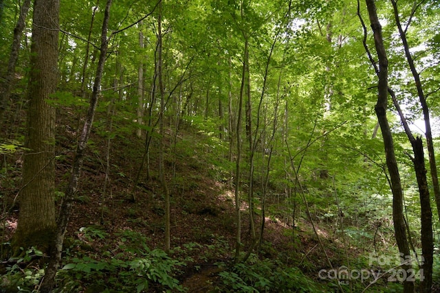 00 Little Pond Pass Lot # 33, Mars Hill, NC 28754 - photo 5