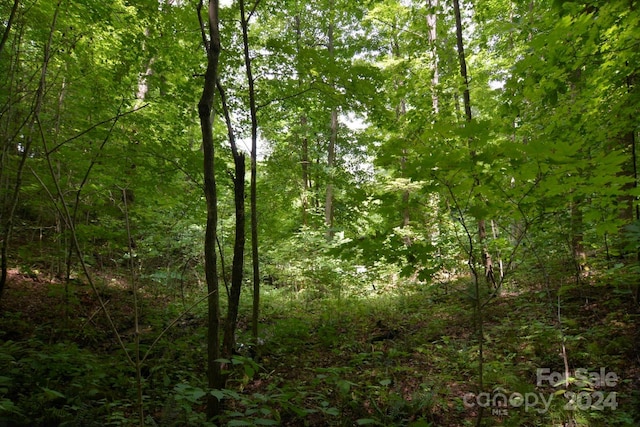 00 Little Pond Pass Lot # 33, Mars Hill, NC 28754 - photo 6