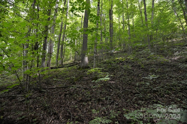 00 Little Pond Pass Lot # 33, Mars Hill, NC 28754 - photo 7