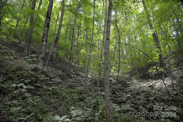 00 Little Pond Pass Lot # 33, Mars Hill, NC 28754 - photo 8