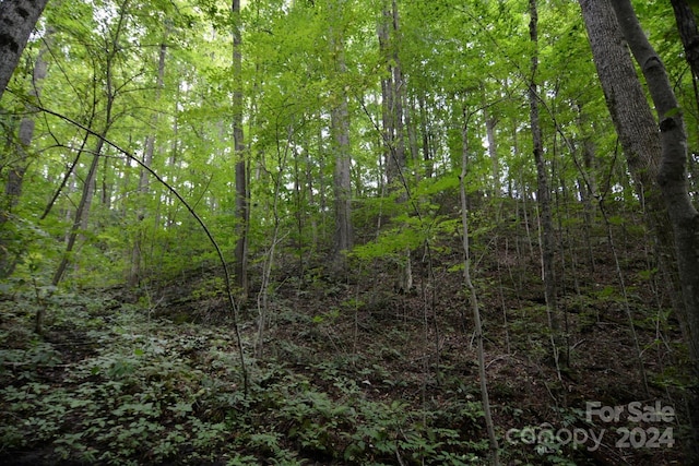 00 Little Pond Pass Lot # 33, Mars Hill, NC 28754 - photo 9