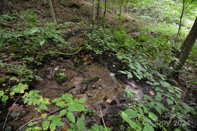 00 Little Pond Pass Lot # 33, Mars Hill, NC 28754 - photo 10