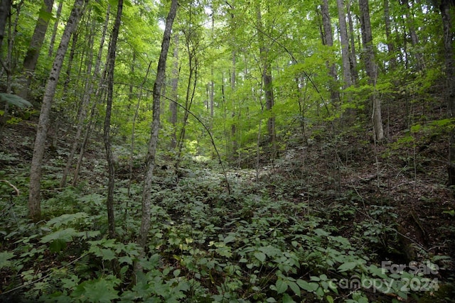 00 Little Pond Pass Lot # 33, Mars Hill, NC 28754 - photo 11