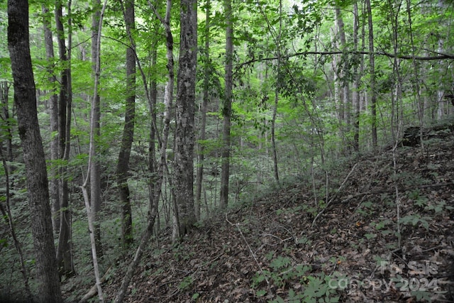 00 Little Pond Pass Lot # 33, Mars Hill, NC 28754 - photo 12