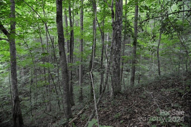 00 Little Pond Pass Lot # 33, Mars Hill, NC 28754 - photo 13