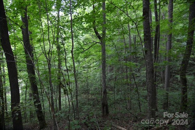 00 Little Pond Pass Lot # 33, Mars Hill, NC 28754 - photo 14