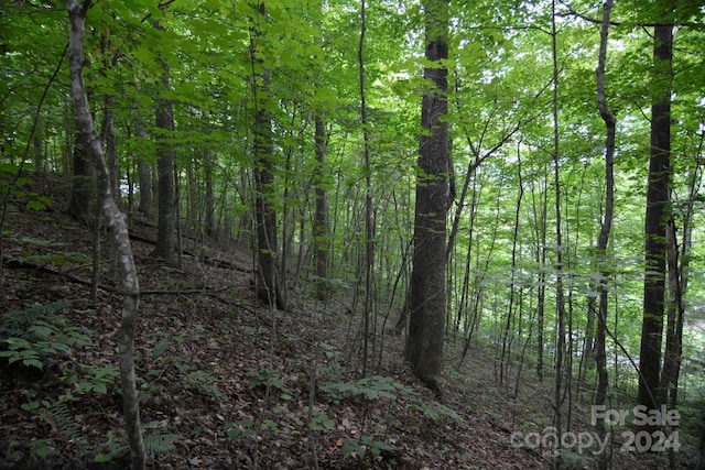 00 Little Pond Pass Lot # 33, Mars Hill, NC 28754 - photo 15
