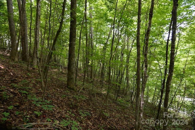00 Little Pond Pass Lot # 33, Mars Hill, NC 28754 - photo 16
