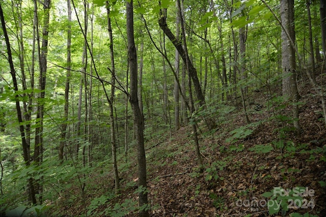 00 Little Pond Pass Lot # 33, Mars Hill, NC 28754 - photo 17