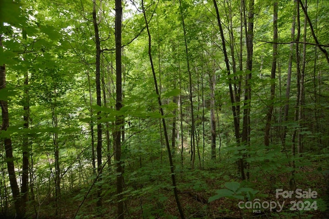 00 Little Pond Pass Lot # 33, Mars Hill, NC 28754 - photo 18