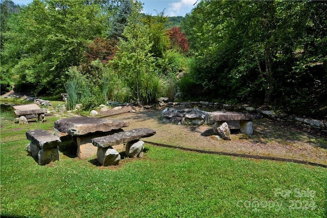 00 Little Pond Pass Lot # 33, Mars Hill, NC 28754 - photo 22