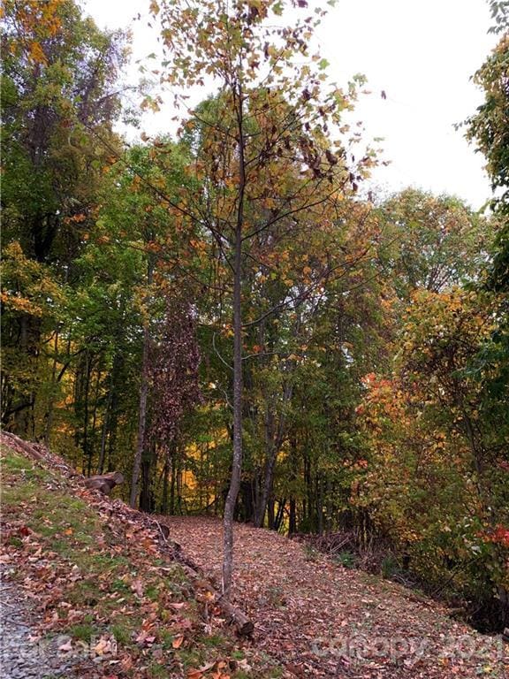 375 Buck Dr, Hot Springs NC, 28743 land for sale