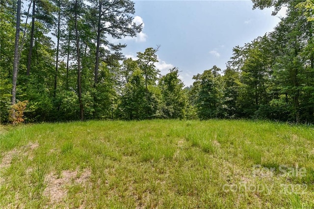 LOT4 The Vines Blvd Lot 4, Marshall NC, 28753 land for sale