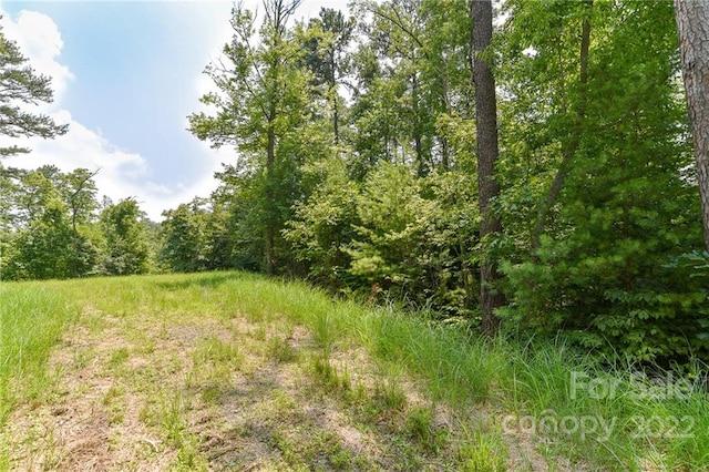 Listing photo 2 for LOT4 The Vines Blvd Lot 4, Marshall NC 28753