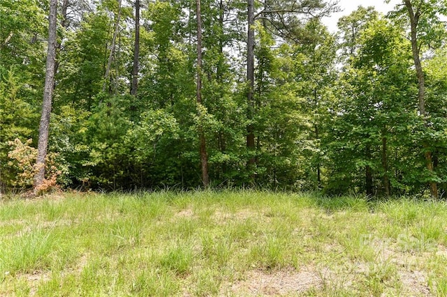 Listing photo 3 for LOT4 The Vines Blvd Lot 4, Marshall NC 28753