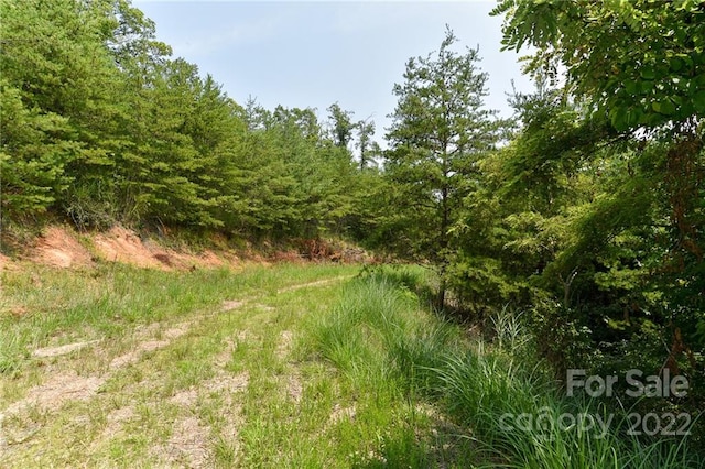 LOT9 The Vines Blvd Lot 9, Marshall NC, 28753 land for sale