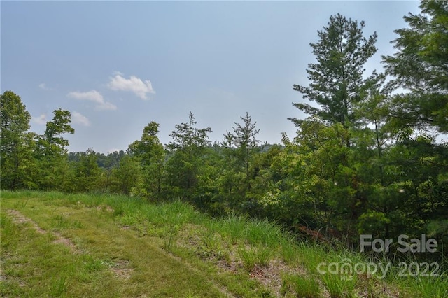 LOT11 The Vines Blvd Lot 11, Marshall NC, 28753 land for sale