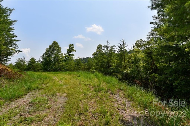 Listing photo 2 for LOT11 The Vines Blvd Lot 11, Marshall NC 28753