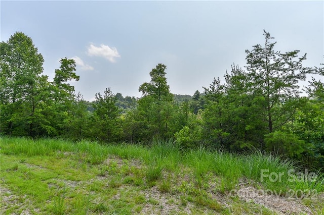 Listing photo 3 for LOT11 The Vines Blvd Lot 11, Marshall NC 28753