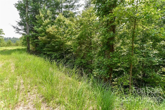 LOT12 The Vines Blvd Lot 12, Marshall NC, 28753 land for sale