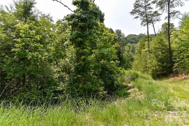 Listing photo 2 for LOT12 The Vines Blvd Lot 12, Marshall NC 28753