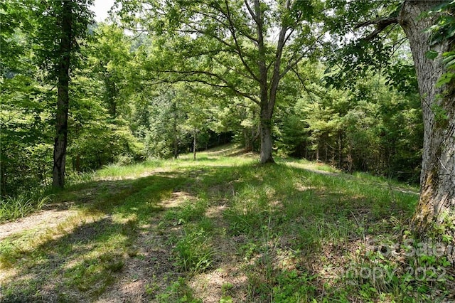 LOT13 The Vines Blvd Lot 13, Marshall NC, 28753 land for sale