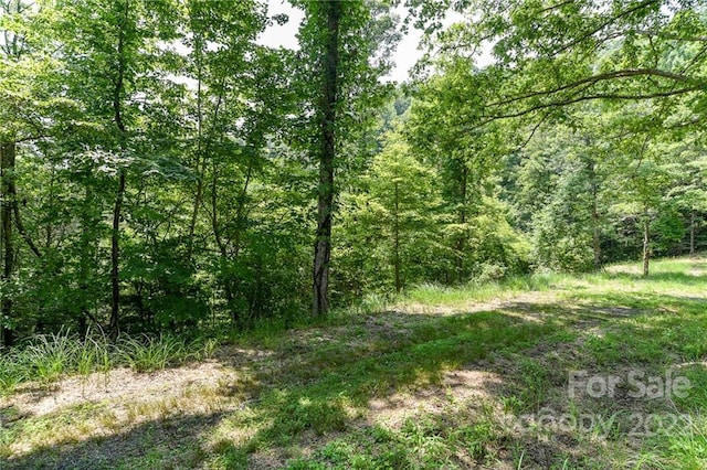 Listing photo 2 for LOT13 The Vines Blvd Lot 13, Marshall NC 28753