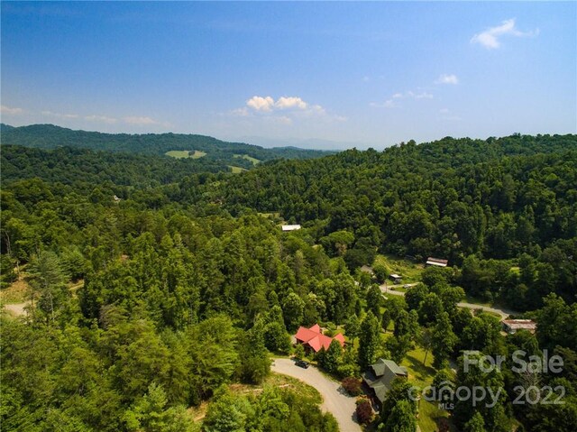 Listing photo 3 for LOT13 The Vines Blvd Lot 13, Marshall NC 28753