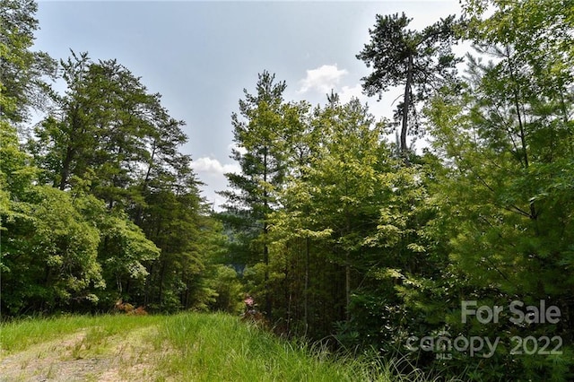 Listing photo 2 for LOT22 The Vines Blvd Lot 22, Marshall NC 28753