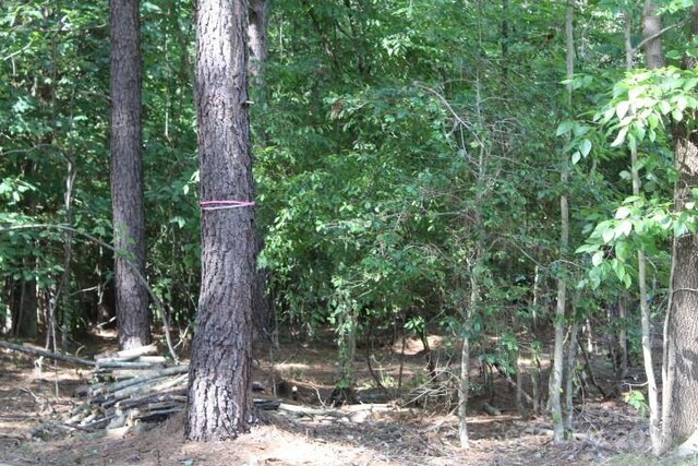 218 Table Rock Trce NW Unit 166, Valdese, NC 28690