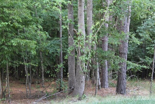218 Table Rock Trce NW Unit 166, Valdese, NC 28690