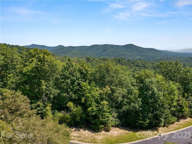 Listing photo 3 for 000 Shining Rock Path Unit 69, Horse Shoe NC 28742