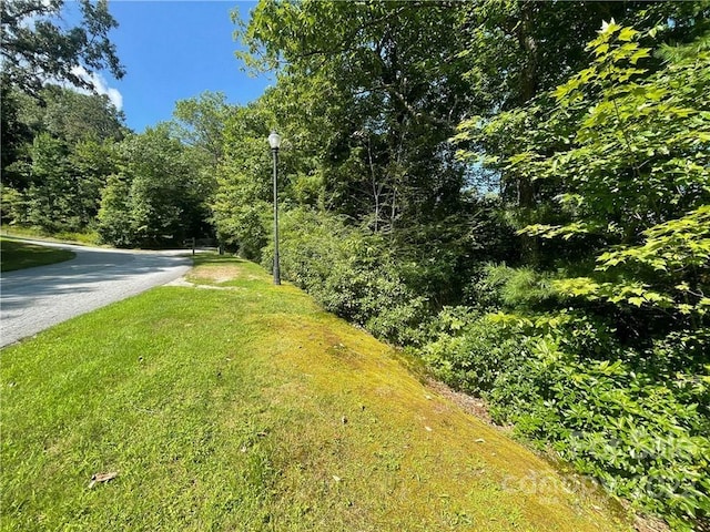 99999 Pine Mountain Trl Unit M37, Brevard NC, 28712 land for sale