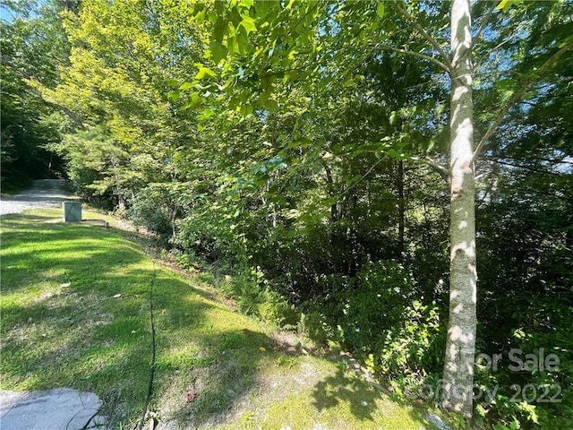 Listing photo 2 for 99999 Pine Mountain Trl Unit M37, Brevard NC 28712