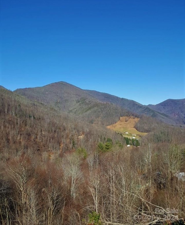 Listing photo 2 for 0 Soco Rd, Maggie Valley NC 28751