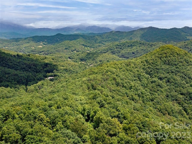 0 Long Winding Rd, Sylva NC, 28779 land for sale