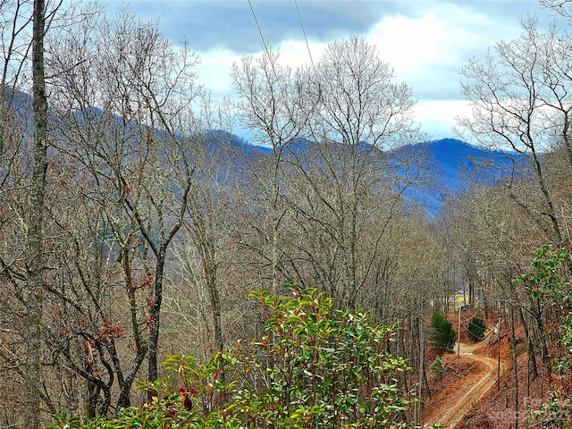 Listing photo 2 for 21 Long Winding Rd Unit 4, 5, 7, 11, 12, 14, 15, Sylva NC 28779