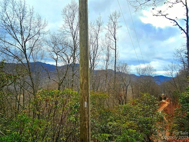 Listing photo 3 for 21 Long Winding Rd Unit 4, 5, 7, 11, 12, 14, 15, Sylva NC 28779