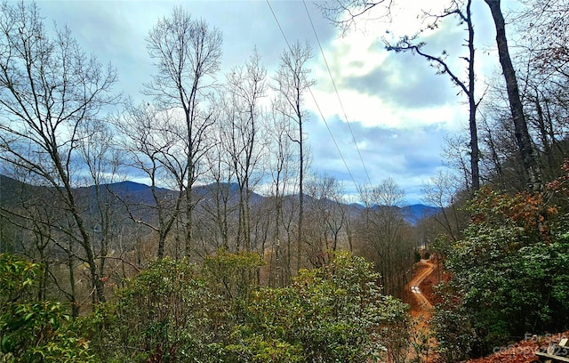 21 Long Winding Rd Unit 4, 5, 7, 11, 12, 14, 15, Sylva NC, 28779 land for sale