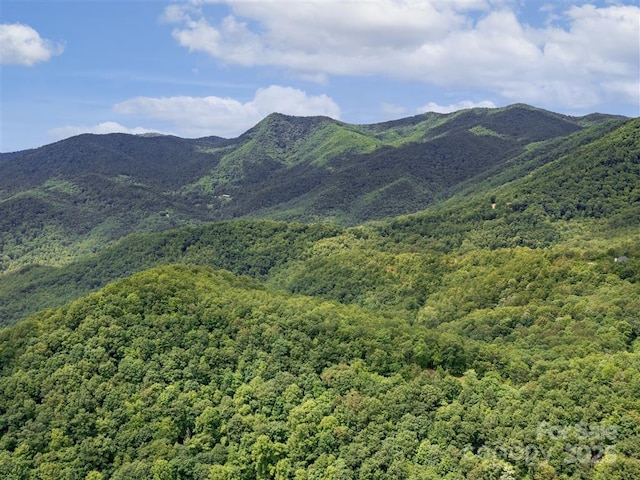 21 Long Winding Rd Unit 4, 5, 7, 11, 12, 14, 15, Sylva NC, 28779 land for sale