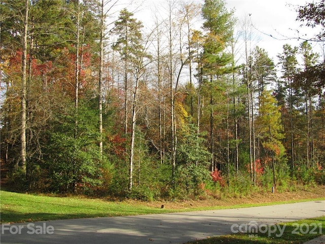 tbd Springhouse Trail 16, Brevard NC, 28712 land for sale