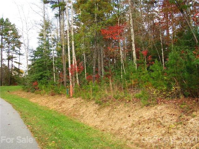 Listing photo 2 for tbd Springhouse Trail 16, Brevard NC 28712