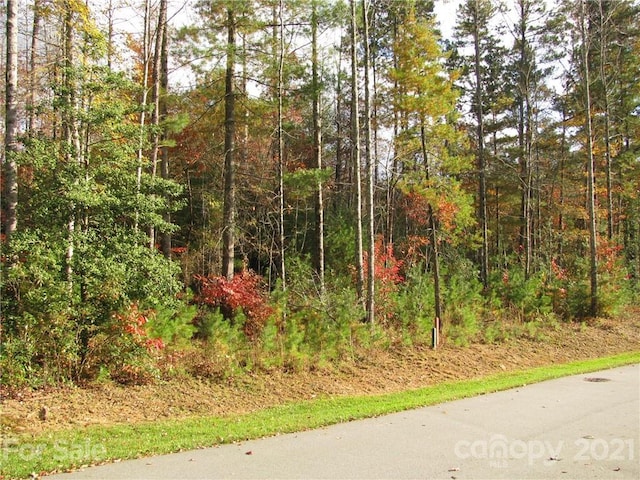 Listing photo 3 for tbd Springhouse Trail 16, Brevard NC 28712