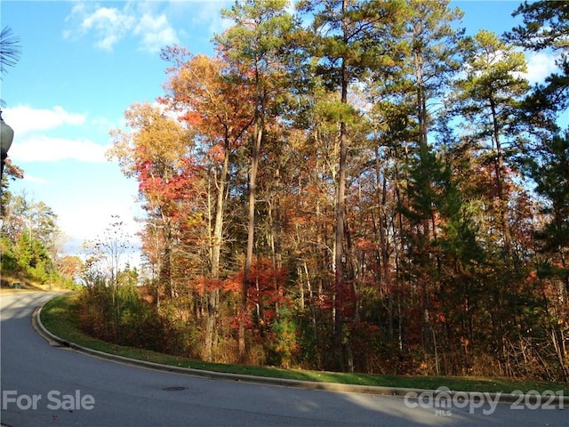 UPPER Camptown Rd Unit M106, Brevard NC, 28712 land for sale