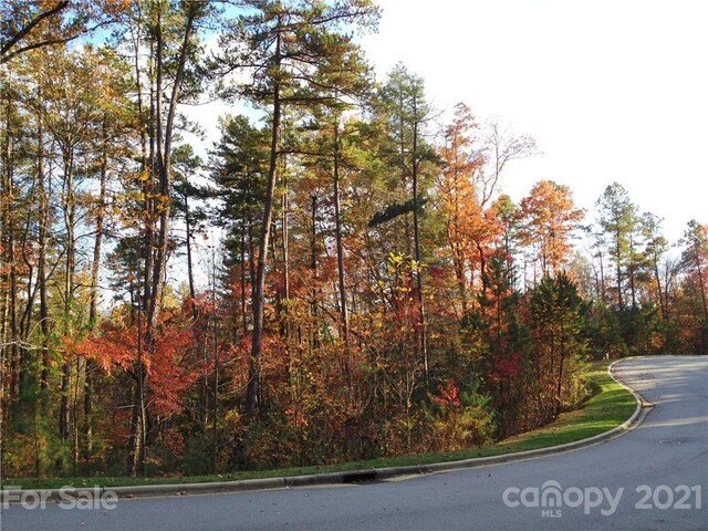 Listing photo 2 for UPPER Camptown Rd Unit M106, Brevard NC 28712