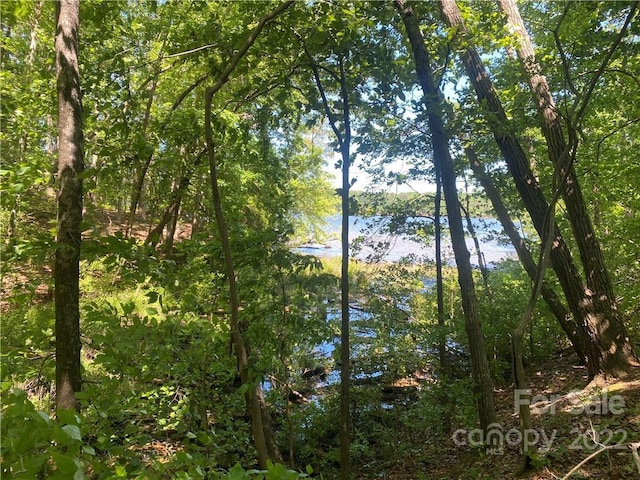 LOT90 Edgewater Dr Unit 90, Norwood NC, 28128 land for sale