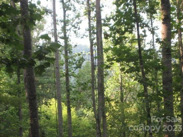 Listing photo 3 for 16 Katua Trl Unit 16, Maggie Valley NC 28751