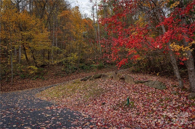 16 Katua Trl Unit 16, Maggie Valley, NC 28751 - photo 2