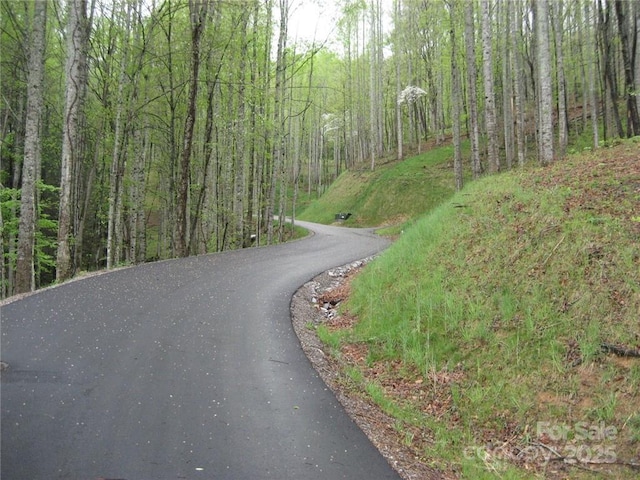 16 Katua Trl Unit 16, Maggie Valley, NC 28751 - photo 4